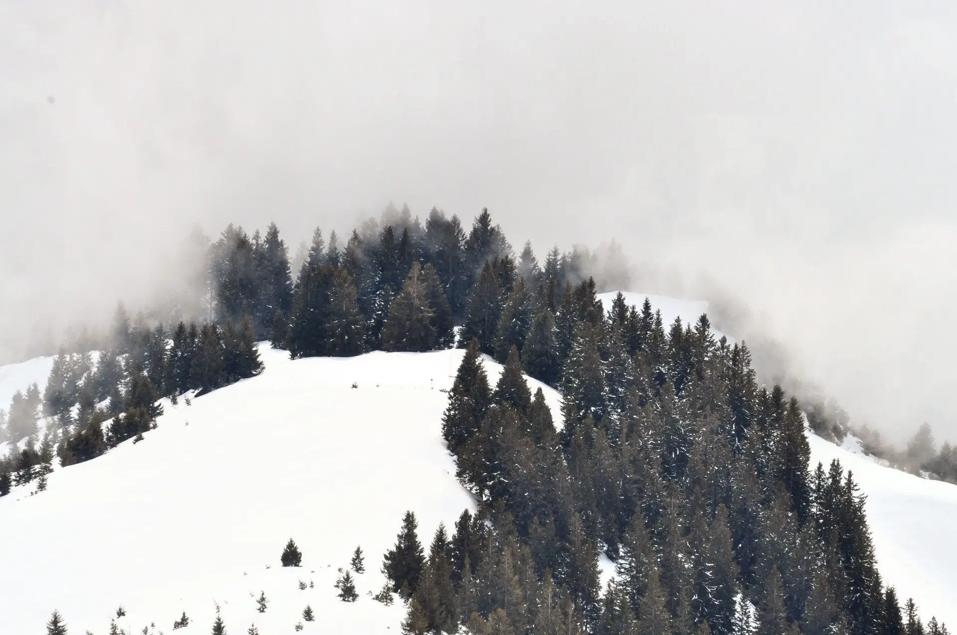 Zimska tišina - meglen gorski vrh